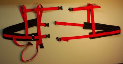 Red Harness w/ Black Padding