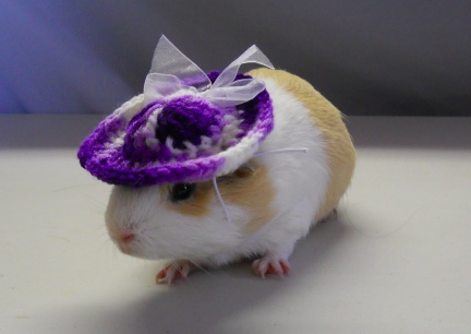 Damsel in her Purple Hat