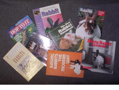 Rabbit Books 2006-03-31.jpg