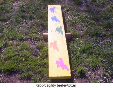 Rabbit-teeter-totter 2005-04-29.jpg